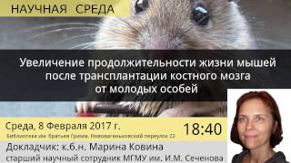 Увеличение продолжительности жизни мышей после трансплантации костного мозга от молодых особей&quot;.