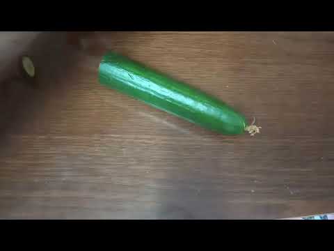 طبق بشكل جديد علي طريقة الجاردمنجية