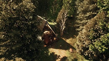 Cottage in the forest ANIMATION - Twinmotion render