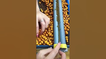 World Fastest Workers | Part 17 #shorts #fastestworker #skills #speedwork