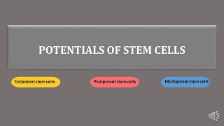 stem cells | totipotent,  pluripotent, multipotent stem cells | scitechtrends
