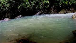 (background video) air sungai mengalir// no copyright