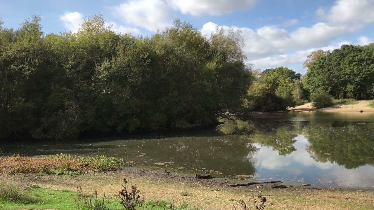 Seven Islands Pond - 6th Oct 2022