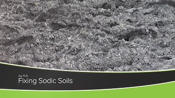 Fixing Sodic Soils (From Ag PhD Show #1177 - Air Date 10-25-20)