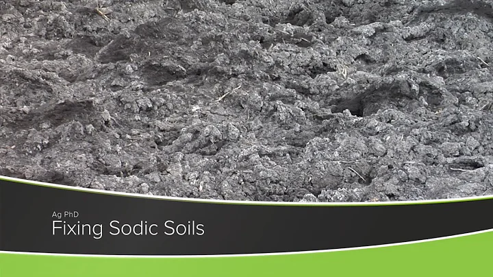 Fixing Sodic Soils (From Ag PhD Show #1177 - Air Date 10-25-20)