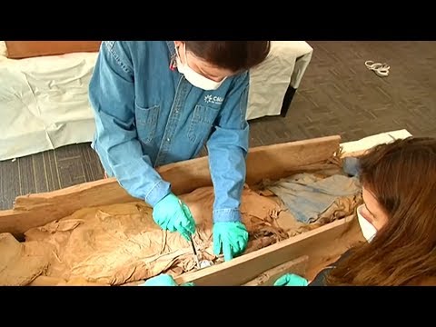 Video: De Mummie Die In Peru Wordt Gevonden, Behoort Tot Een Wezen Van Het Reptielachtige Type - Alternatieve Mening