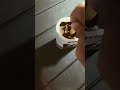 Asmr Part 2