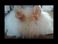 Quickly dehair angora wool without a machine angora rabbit care