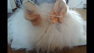 Quickly dehair angora wool without a machine. Angora rabbit care.
