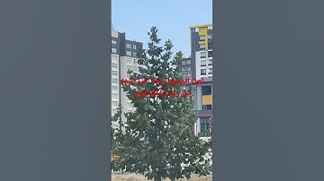 #القرآن_الكريم #المصحف #quran #listen #اكسبلور #ترند #سورة_البقرة #سعود_الشريم