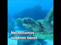 Los océanos están amenazados.
