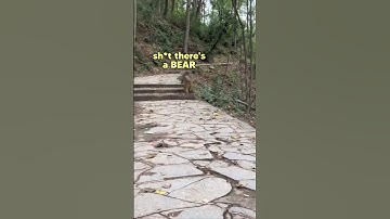 I’m out of breath 😫 #funny #monkey #voiceover