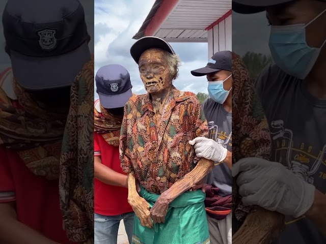 Ritual Ma’nene’ Tradisi Suku Toraja | Sulawesi Selatan #budaya #toraja #indonesia class=