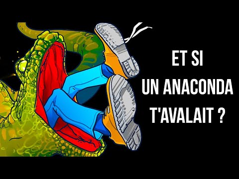 Vidéo: Quelques Faits Sur L'anaconda