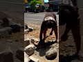 Traditional Rock Splitting Method – Sledgehammer in Action!