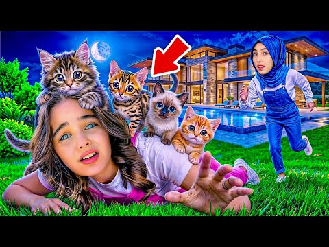 ELIF SINEM ADOPTED A BUNCH OF CATS OH NO ‼️