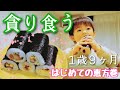 大食い男児【恵方巻/節分2022】１歳９ヶ月ではじめての実食。完食できるかな？（後編）