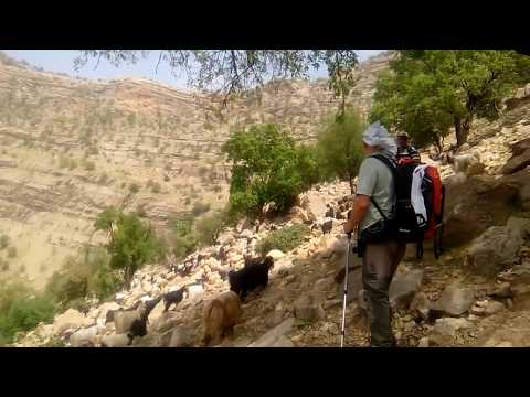 Spring Migration Of Bakhtiari Nomads Iran 