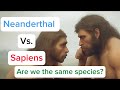 Neanderthal Vs. Sapiens - Are We The Same Species? Detailed Review