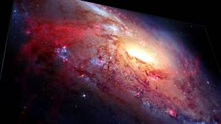 Qled 8K 2019 - Official Introduction