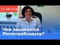 Чем занимается Роспотребнадзор