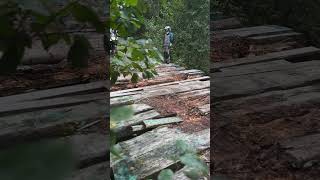 IMG 1517