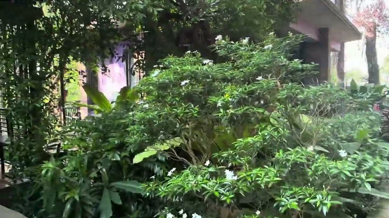 ที่พักที่บางเสร่ สวนผึ้งรีสอร์ท สวย ถูก ดี ชมไรอัล#ไรอัลไมค์หมดหนี้ พักที่นี่