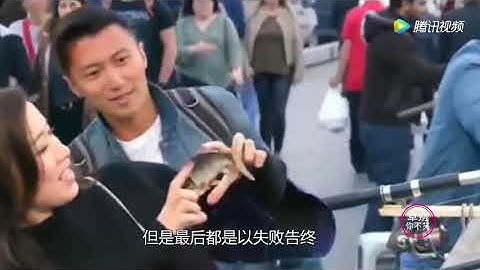 王菲被问 最爱哪个男人？王菲回答后，评论区炸锅了！
