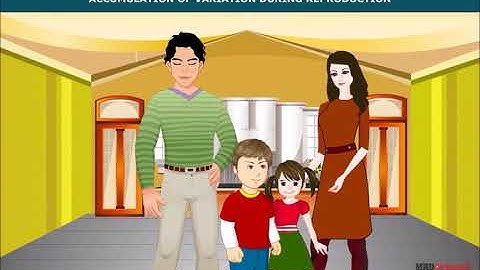 Heredity and Evolution | Accumulation of Variation During Reproduction