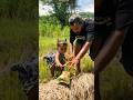Survival bushcraft skills #bushcraft #survival #camping #outdoors #forest