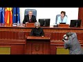 Raw Video: Assembly Elects New Speaker MP, Jovan Mitrevski