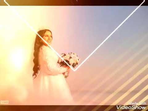 الاسماعيليه شارع سعد زغلول داخل ممر كارمن لزي المدرسي