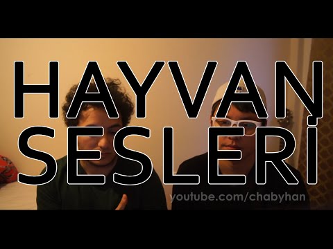 TÜRK HAYVAN SESLERİ VE KORELİ HAYVAN SESLERİ