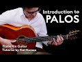 Introduction to palos  flamenco guitar tutorial by kai narezo