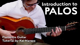 Introduction to Palos - Flamenco Guitar Tutorial by Kai Narezo