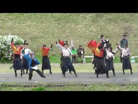 総踊り「黒田節 」　運河いい花見2015