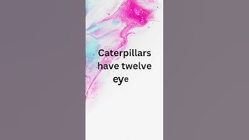 Thumbnail of #music #song #lyrics #newmusic #facts #factsvideo #instrumental #beats