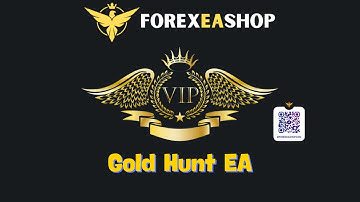 Gold Hunt EA - How to video setup - ForexEAshop