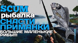 ГАЙД ПО РЫБАЛКЕ !!! SCUM