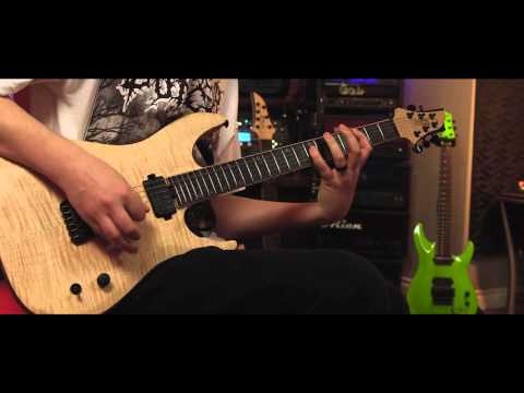 Seymour Duncan Palladium Gain Stage Metal