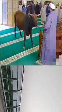 Allah ka Kudrat #duet #madinekibaatein #islamicholysite