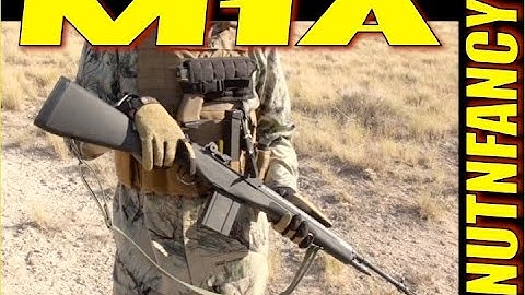 Cover Image for "Fear Not You Have An M1A" by Nutnfancy [TNP Classics]