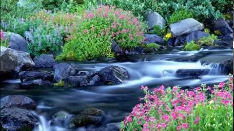 ( هو الذي يحيي ويميت ) تلاوة تريح النفس بصوت الشيخ محمد اللحيدان