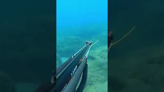Ψάρεμα Από Παραλια Γεμάτη Κοσμο #fishing #fishing #spearfishing