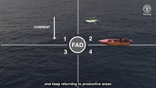 FAD Fishing Techniques, a guide for fishing anchored FADs in the Pacific