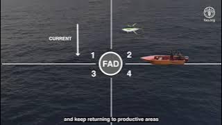 FAD Fishing Techniques, a guide for fishing anchored FADs in the Pacific