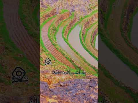 قف بالخضوع ونادي ربك ياهو اجمل توشيح صنعاني