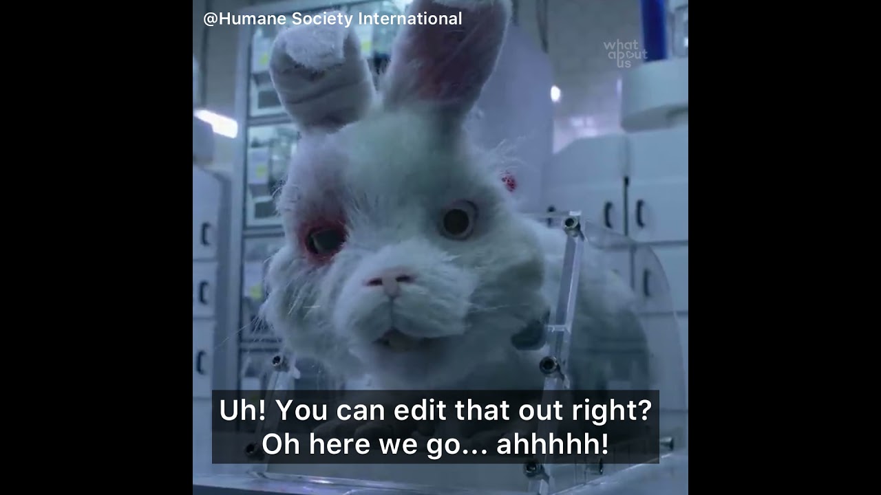 Animal testing for cosmetics - YouTube