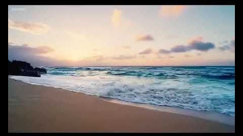 تلاوة خاشعة| د. أسامة عريبة