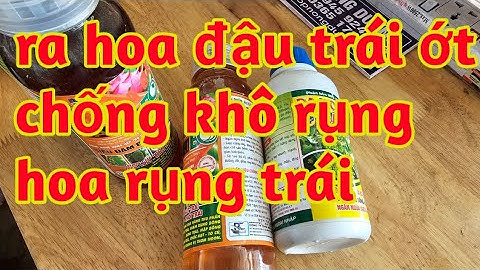 chống khô bông rụng hoa rụng trái ớt tăng thụ phấn ra hoa đậu trái ớt 023 18
